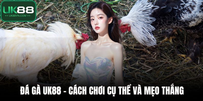 Đá Gà UK88 - Cách Chơi Cụ Thể Và Mẹo Giành Chiến Thắng 1 Đá Gà UK88